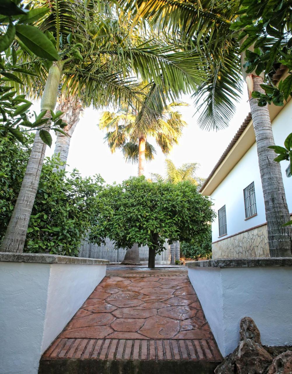 Casa Rural Tipica Andaluza, Wifi,Piscina, Barbacoa, Aire Acondicionado, 5Min Centros Alhaurín el Grande エクステリア 写真
