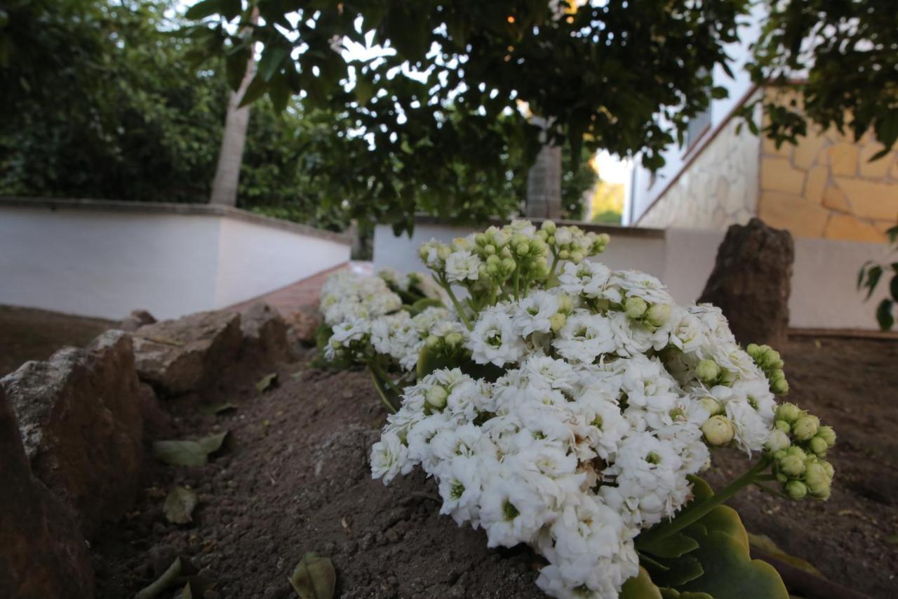 Casa Rural Tipica Andaluza, Wifi,Piscina, Barbacoa, Aire Acondicionado, 5Min Centros Alhaurín el Grande エクステリア 写真